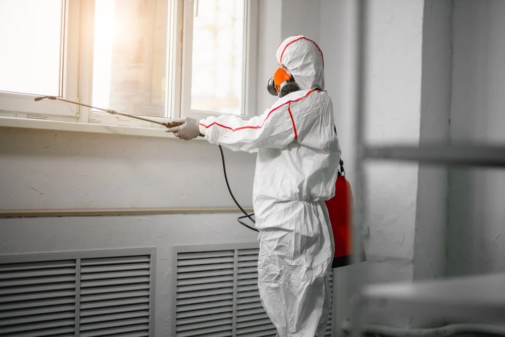 Professional mold remediation services in Bennington, IN